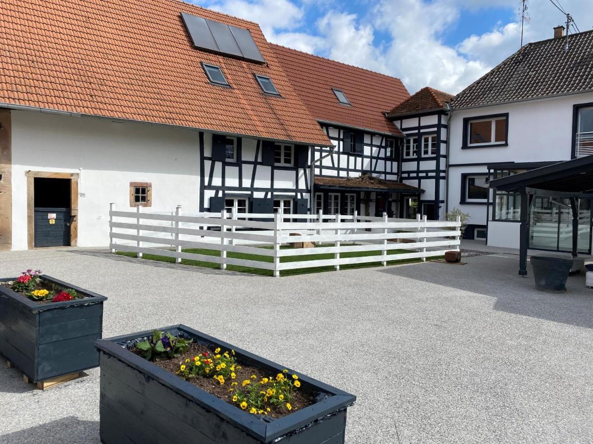 A La Ferme Bed & Breakfast Kurtzenhouse ภายนอก รูปภาพ